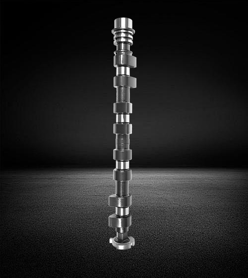10060082030000 অটোবিয়ানচি Camshaft